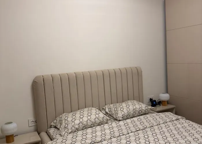 Elite Kasper 布拉索夫